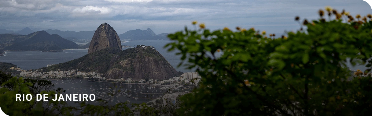 Vista panorâmica do Rio de Janeiro com destaque para o Pão de Açúcar, um dos principais cartões-postais do Brasil. A imagem mostra a Baía de Guanabara e o relevo montanhoso característico da cidade, com vegetação em primeiro plano. O cenário turístico reforça a beleza natural e o potencial do Rio como destino turístico e centro estratégico de negócios.